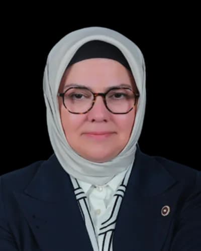 Ayşe Böhürler fotoğrafı