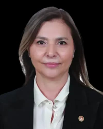 Ayşe Sibel Ersoy fotoğrafı