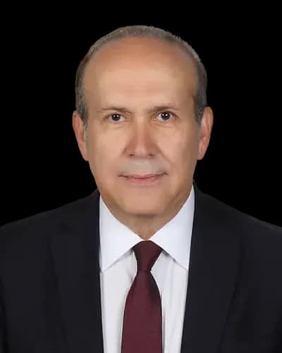 Namık Tan fotoğrafı