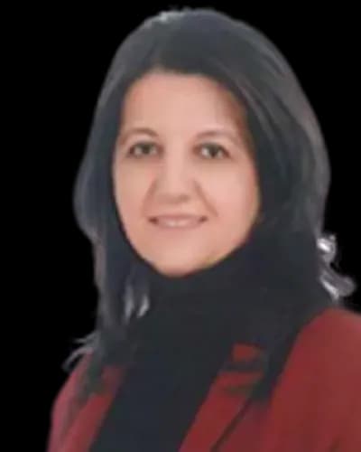 Pervin Buldan fotoğrafı
