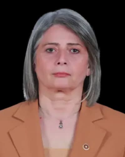 Sibel Suiçmez fotoğrafı